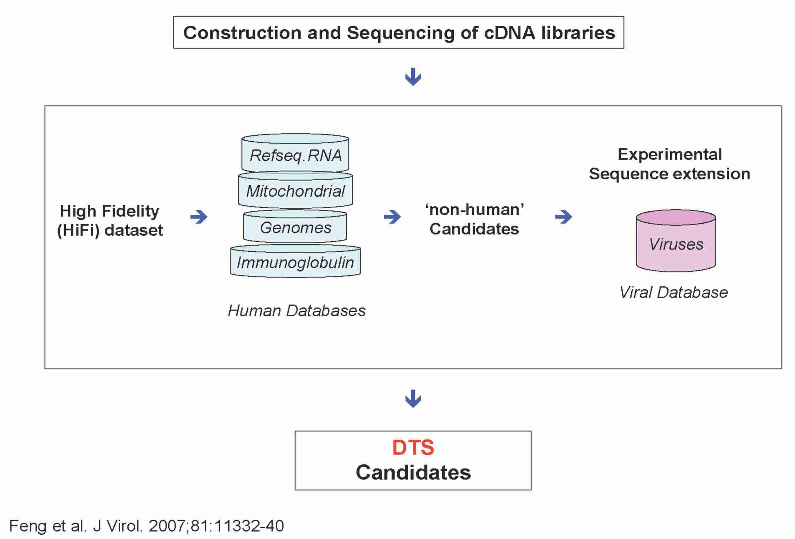 Construction and Sequencing of cDNA Libraries